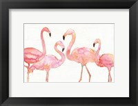 Framed Flamingo Fever I no Splatter