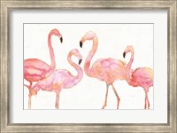 Framed Flamingo Fever I no Splatter