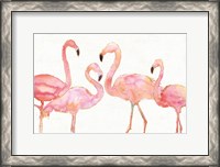 Framed Flamingo Fever I no Splatter