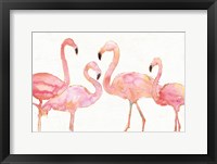 Framed Flamingo Fever I no Splatter