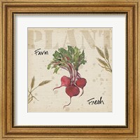 Framed Farmers Feast IV
