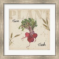 Framed Farmers Feast IV