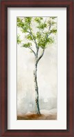 Framed Watercolor Birch Trees II