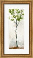 Framed Watercolor Birch Trees II