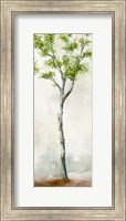 Framed Watercolor Birch Trees II