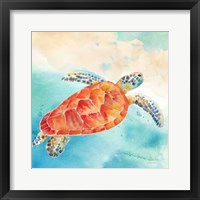 Framed 'Sea Splash Sea Turtle' border=