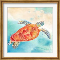 Framed Sea Splash Sea Turtle