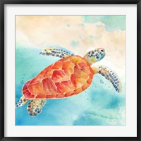 Framed Sea Splash Sea Turtle