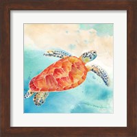 Framed 'Sea Splash Sea Turtle' border=