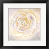 Framed Watercolor Rose Closeup I
