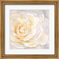 Framed Watercolor Rose Closeup II