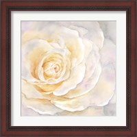Framed 'Watercolor Rose Closeup II' border=