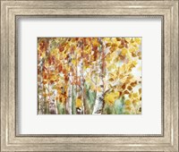 Framed Watercolor Fall Aspens