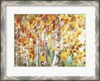 Framed Watercolor Fall Aspens