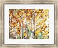 Framed Watercolor Fall Aspens