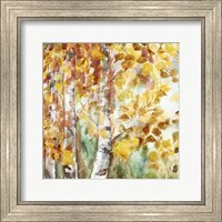 Framed Watercolor Fall Aspens Square