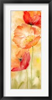 Framed Watercolor Poppy  Meadow Spice Panel II