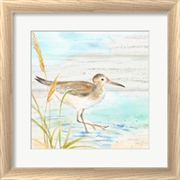 Framed 'Sandpiper Beach I' border=