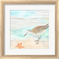 Framed 'Sandpiper Beach II' border=