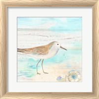 Framed 'Sandpiper Beach III' border=