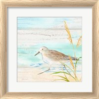 Framed 'Sandpiper Beach IV' border=