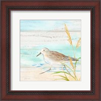 Framed Sandpiper Beach IV