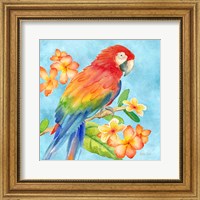 Framed Tropical Paradise Brights I