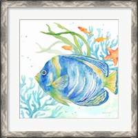 Framed Sea Life Serenade I