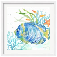 Framed Sea Life Serenade I