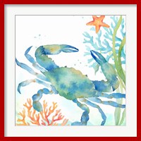 Framed Sea Life Serenade II