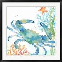 Framed Sea Life Serenade II