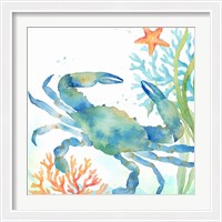 Framed Sea Life Serenade II