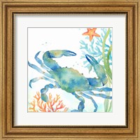 Framed Sea Life Serenade II