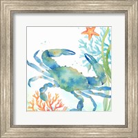 Framed Sea Life Serenade II