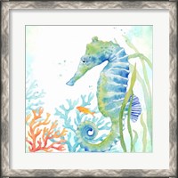 Framed Sea Life Serenade III