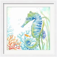 Framed Sea Life Serenade III