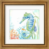 Framed Sea Life Serenade III