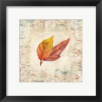 Framed 'Nature Walk Leaves I' border=