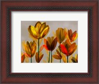 Framed Contemporary Poppies Yellow