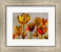 Framed Contemporary Poppies Yellow