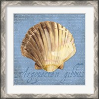 Framed 'Oceanum Shells Blue V' border=