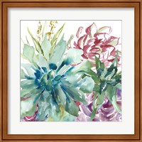 Framed 'Succulent Garden Watercolor II' border=