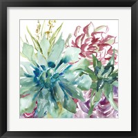 Framed 'Succulent Garden Watercolor II' border=