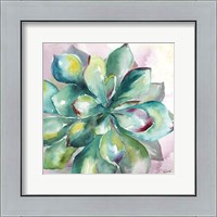 Framed 'Succulent Watercolor I' border=