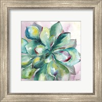 Framed 'Succulent Watercolor I' border=