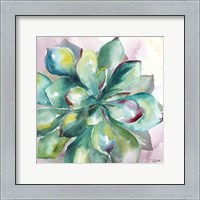Framed 'Succulent Watercolor I' border=