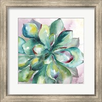 Framed Succulent Watercolor I