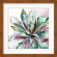 Framed 'Succulent Watercolor II' border=