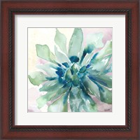 Framed 'Succulent Watercolor III' border=