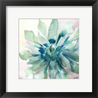 Framed 'Succulent Watercolor III' border=